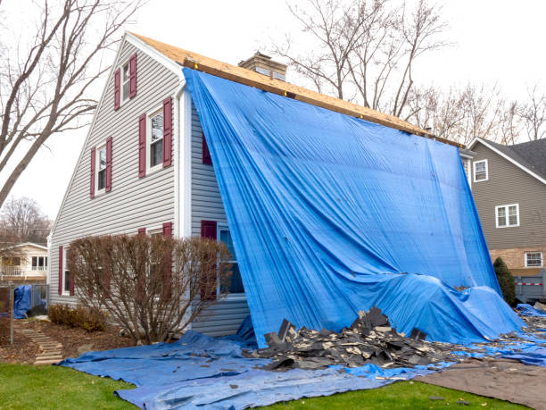 Best Yard Waste Removal  in La Plata, NM